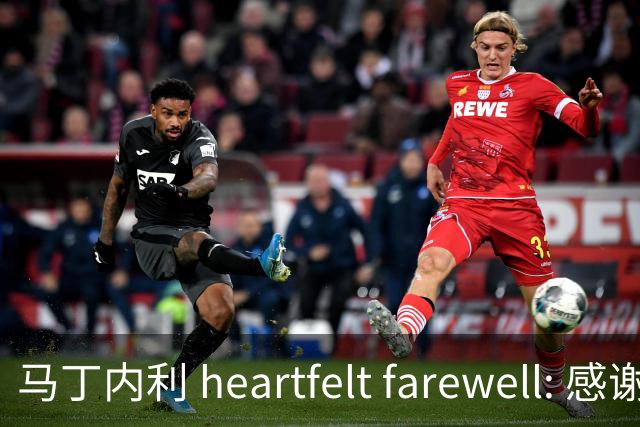 马丁内利 heartfelt farewell: 感谢过去，带着回忆启程新旅